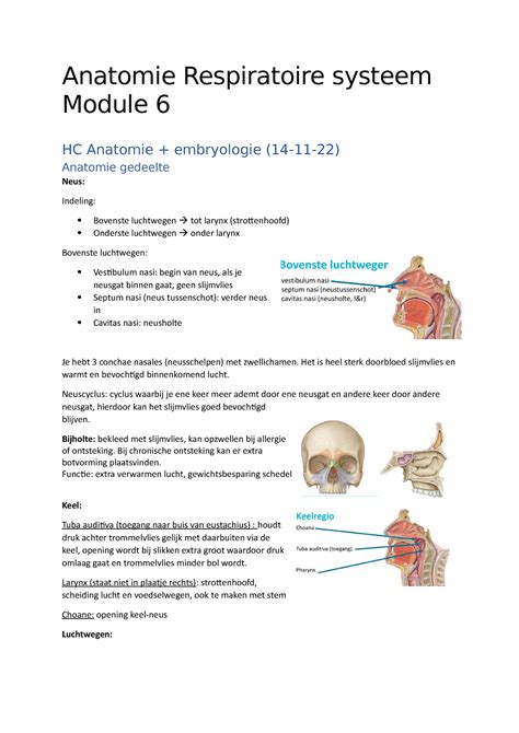 Afwijkingen van het respiratoire systeem